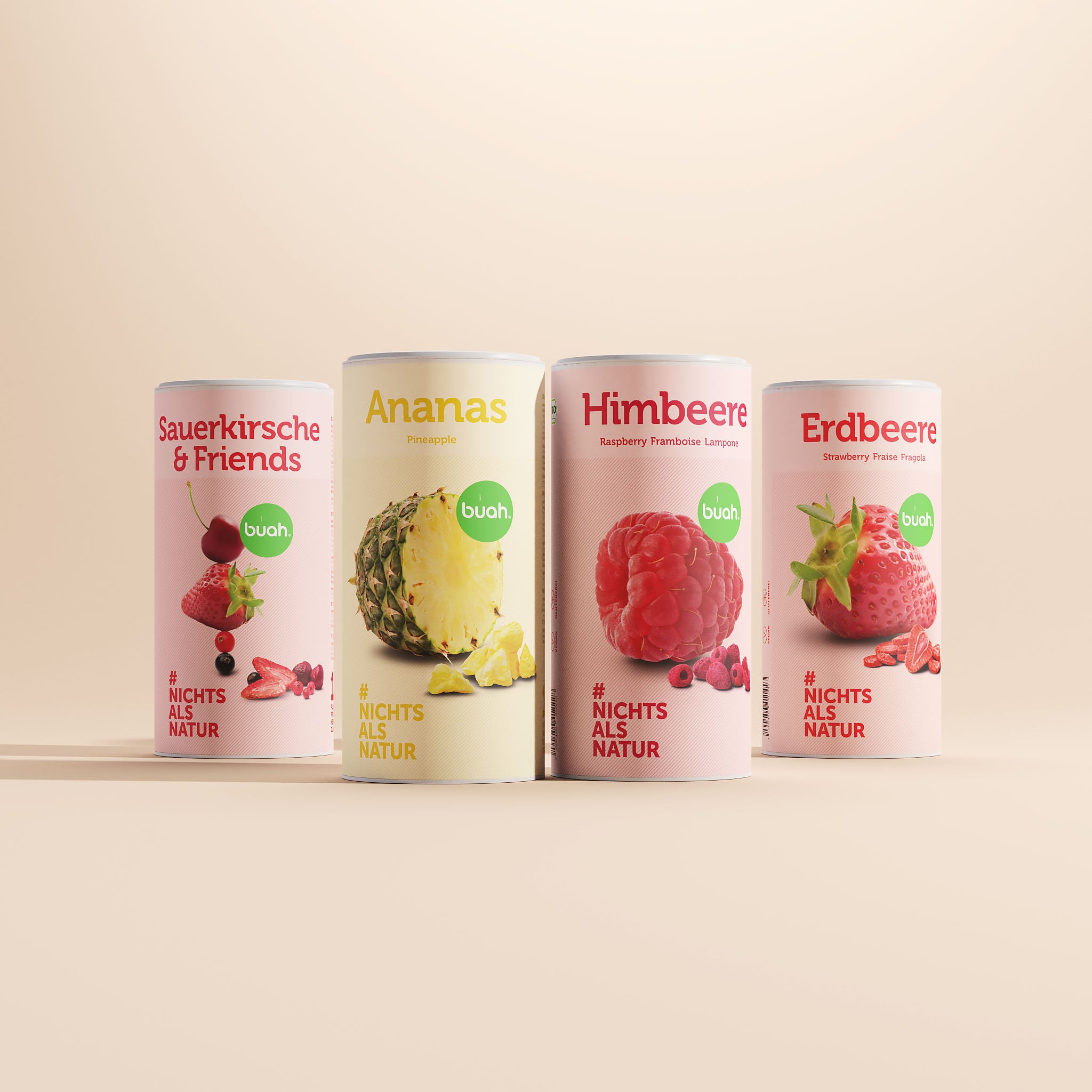 buah Dosen Sauerkirsche & Friends, Ananas, Himbeere und Erdbeere nebeneinander aufgereiht vor pastell-farbigem Hintergrund