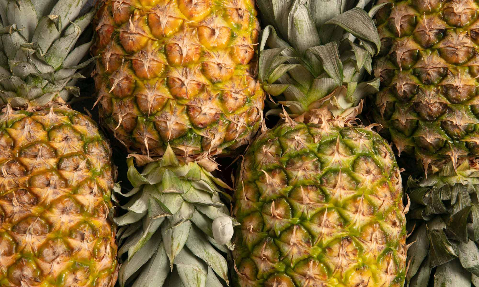 Mehrere frische Ananas Früchte nebeneinander liegend angeordnet