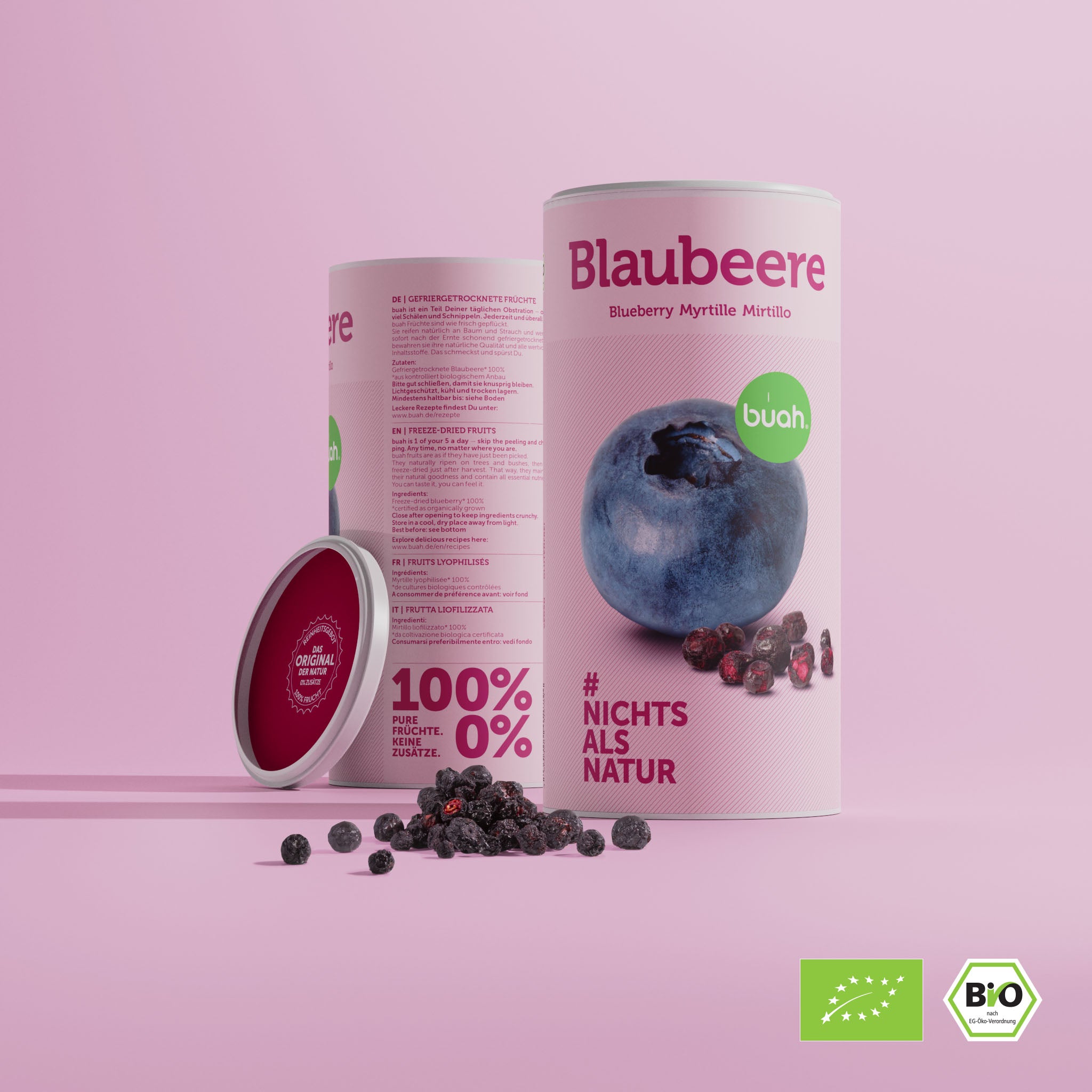 buah Dose Blaubeere Vorder und Rueckansicht mit Blaubeeren vor der Dose