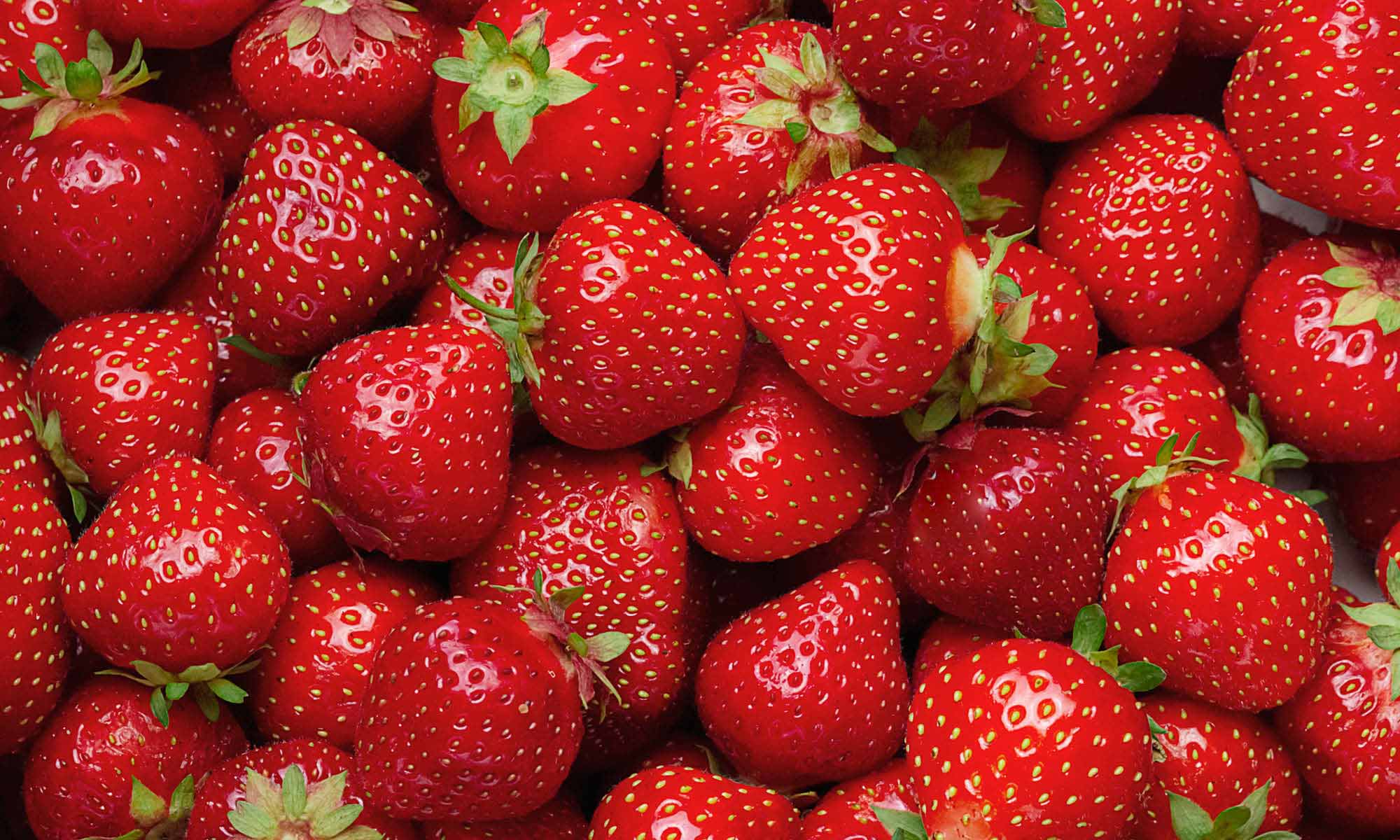 Viele frische und rote Erdbeere neben und aufeinander